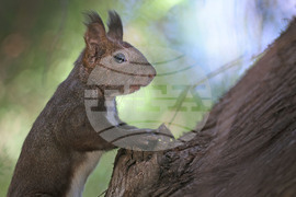 Варна - Морска градина - ежедневие