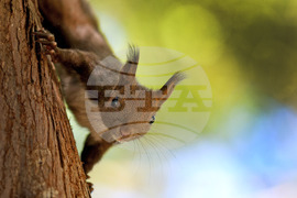 Варна - Морска градина - ежедневие