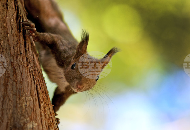 The Weather on January 1