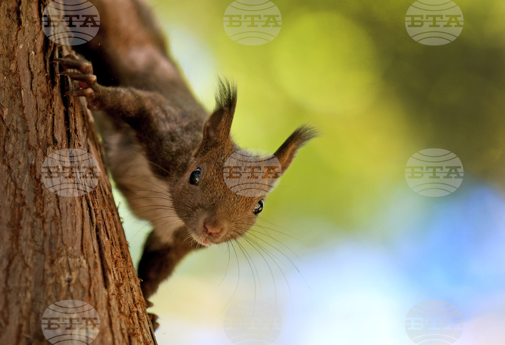 Варна - Морска градина - ежедневие