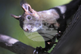 Варна - Морска градина - ежедневие