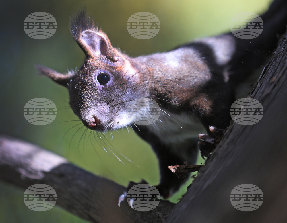 Варна - Морска градина - ежедневие