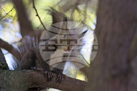 Варна - Морска градина - ежедневие