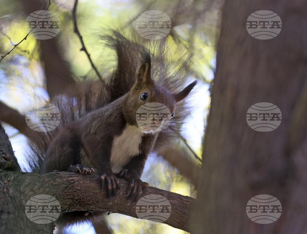 Варна - Морска градина - ежедневие