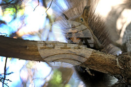 Варна - Морска градина - ежедневие