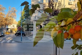 Търговище - есен - централна част