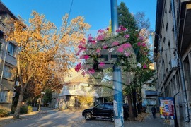 Търговище - есен - централна част