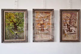 Сливен - „Спомените на Стария бряст" - изложба