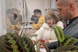 Хасково - Секционни избирателни комисии - членове - възнаграждения