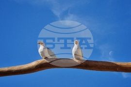 Бургас - екологична детска площадка