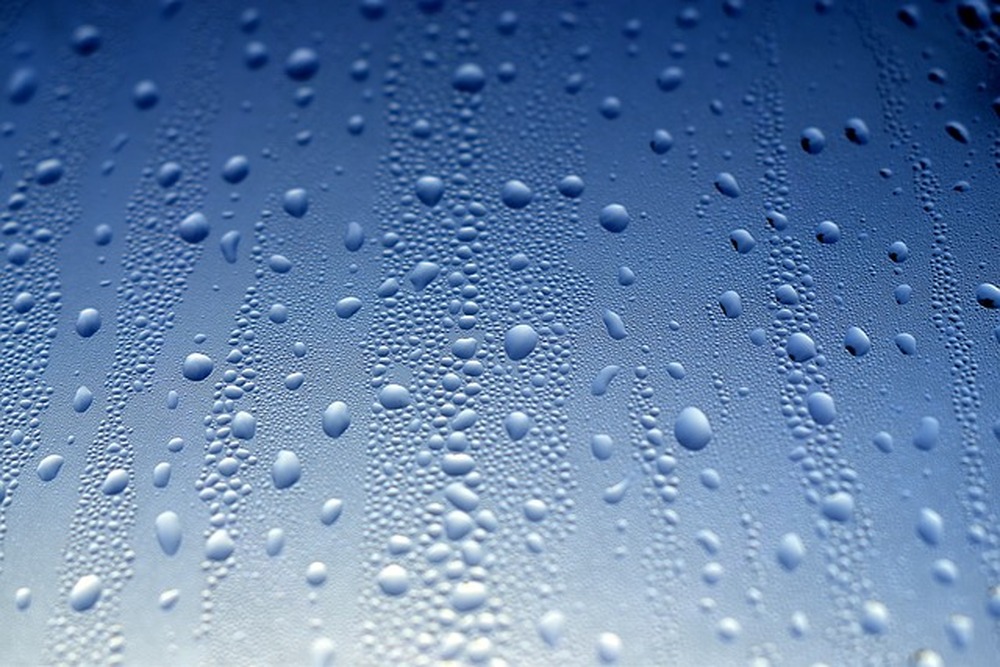 Учени почерпиха вдъхновение от бръмбарите листояди за създаването на нова водоустойчива повърхност