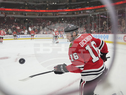 Redwings Blackhawks Hockey