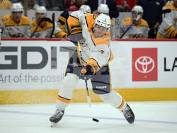 Predators Capitals Hockey