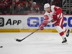 Red Wings Blackhawks Hockey