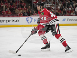 Redwings Blackhawks Hockey