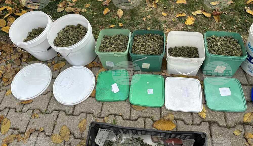 Полицейски служители са иззели над 8 килограма и половина марихуана от имот в опанското село Ястребово