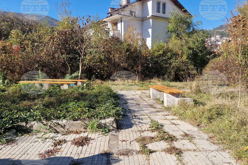 Смолян - младежка организация - облагородяване на околната среда