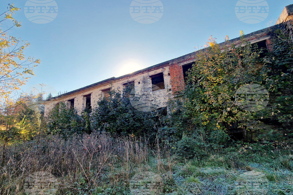 Смолян - младежка организация - облагородяване на околната среда