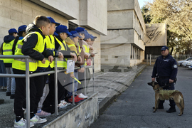 Добрич - ОДМВР - Ден на отворени врати