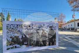 Сливен - „Сухопътни войски - ние сме там, където има нужда от нас“ - изложба