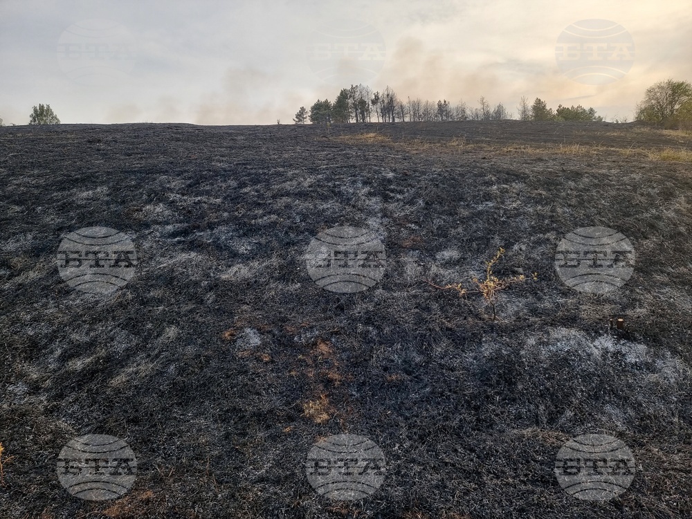 За два дни в Монтанско са гасени 14 пожара, в полетата на региона горят треви и храсти, въпреки захлаждането