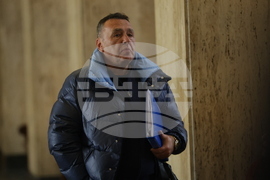Габриела Пеева - дело