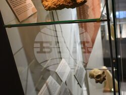 Снимка: Община Асеновград