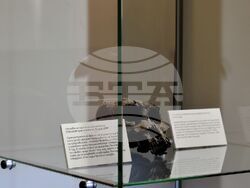 Снимка: Община Асеновград