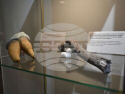 Снимка: Община Асеновград