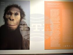 Снимка: Община Асеновград