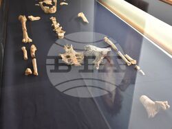 Снимка: Община Асеновград