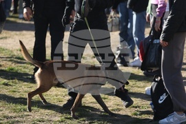 Агенция "Митници" - Национална агенция за приходите - кампания "Не сте сами"