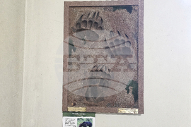 Плевен - музей - изложба - отливки