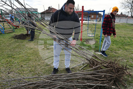 Исперих - благотворителност - залесяване