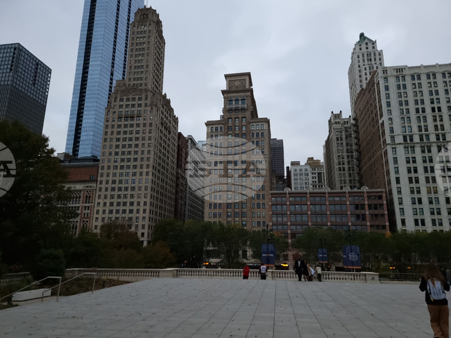 Български организации от Чикаго с позиция: публични кампании въвличат българската общност в Чикаго в изкуствено създадено напрежение